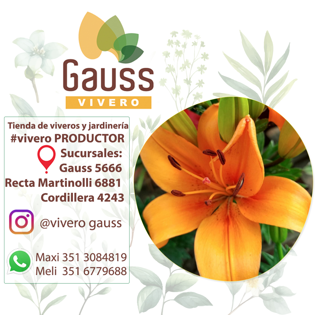Vivero Gauss